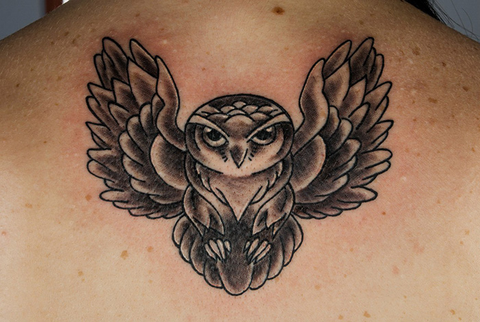 Стиль татуировки совы