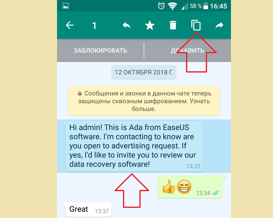 Whatsapp переписка узнать. Скопировать сообщение в ватсапе. Как Копировать текст в ватсап. WHATSAPP текст. Копирование информации ватцап.